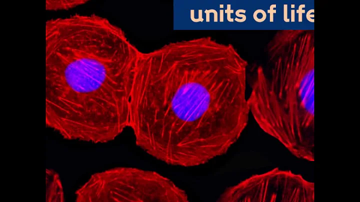 Sanger Institute - Human Cell Atlas funding from Wellcome - DayDayNews
