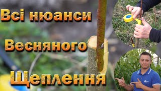 Щеплення повне відео. Коли щепити. Які підщепи. Копуліровка, у розщіп.