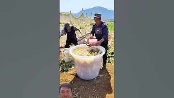 Rửa rau củ với chiếc máy rất độc đáo. #food #shortsvideo #shorts #youtubeshort #youtuber #useful