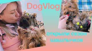 DogVlog: ОТКРЫЛИ СЕЗОН ШАШЛЫЧКОВ🐶 by Tiffany York 5,932 views 3 years ago 15 minutes