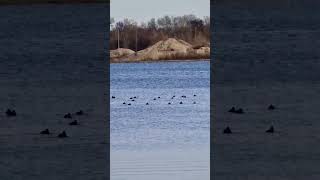 Natyr E Pastert 10. Dezember 2022