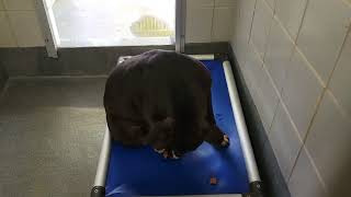 acs A675048