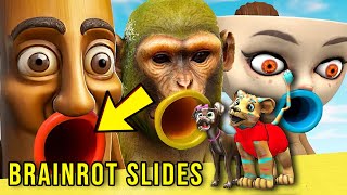 Do Not Pick The Wrong Brainrot Slide In Gmod