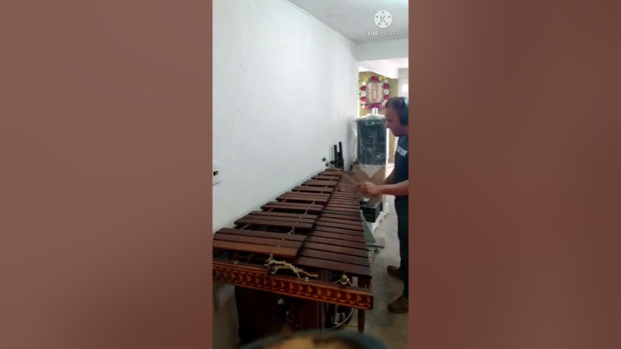 MARIMBA TÍPICA de Toluca "El soprano de oro" de Carlos Campos YouTube