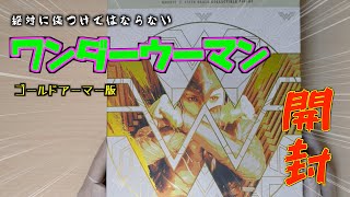 #1【ホットトイズ】絶対に傷つけてはならない…細心の注意を払え！ワンダーウーマンゴールドアーマー版！！【開封編】