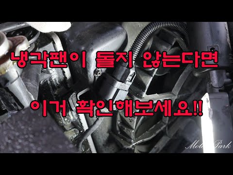 (아반떼HD하이브리드)냉각팬이 돌지 않는다면 이거 확인!!