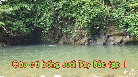 Tập 1.Câu cá bống suối Tây Bắc tập 1 / Tây Bắc bí ẩn