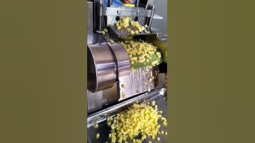 Máy cắt dứa(khóm) lát tròn tự động XL75+ máy cắt dứa(khóm) hạt lựu JL660, 0909134877