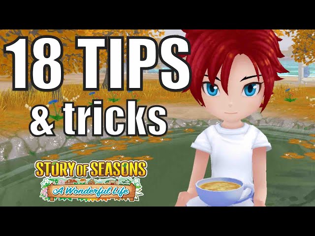 Story Of Seasons: A Wonderful Life Beginner Tips & Tricks - How To