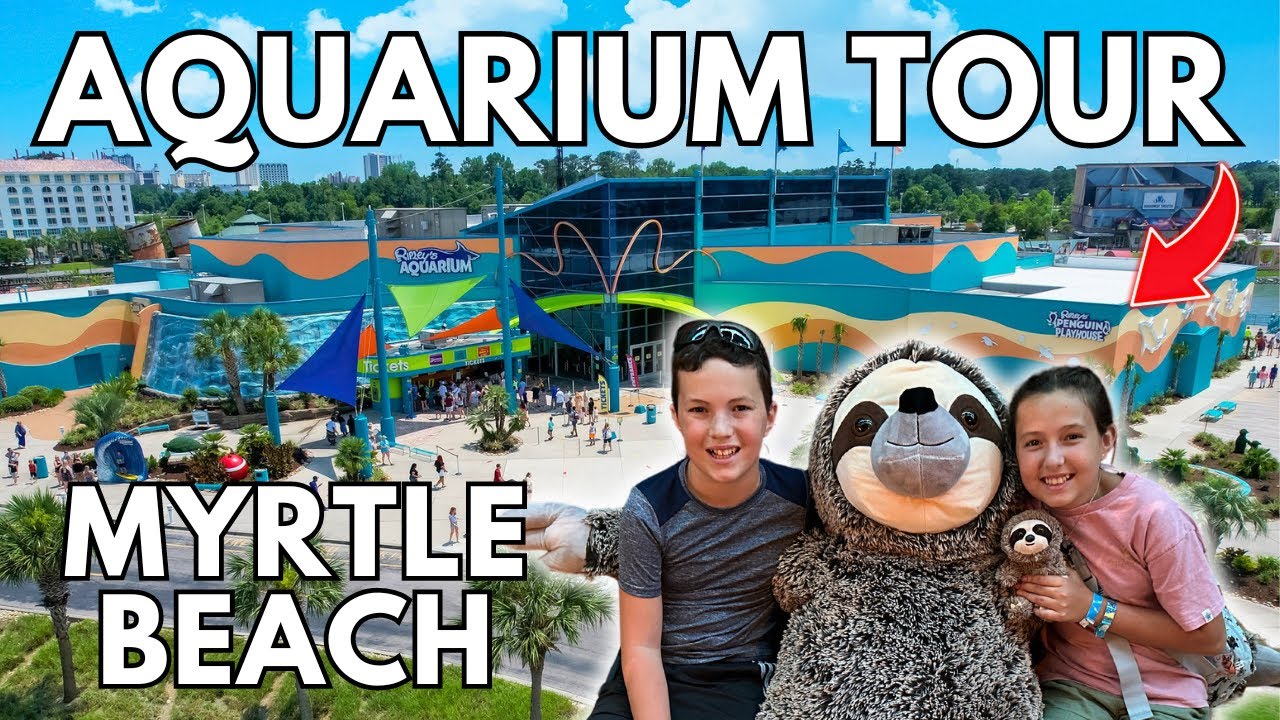 Ripley's Aquarium Myrtle Beach Animal Crossing Ripleys Aquarium Myrtle Beach South Carolina Full Tour | Broadway At