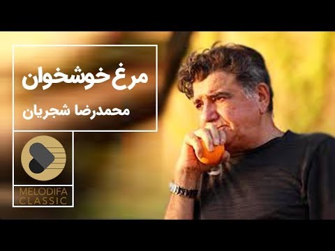      محمدرضا شجریان تصنیف مرغ خوشخوان