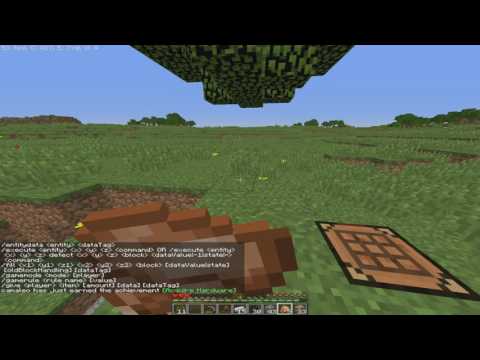 Minecraft LP#1 (ქართულად) მაინინგი და სახლის აშენება