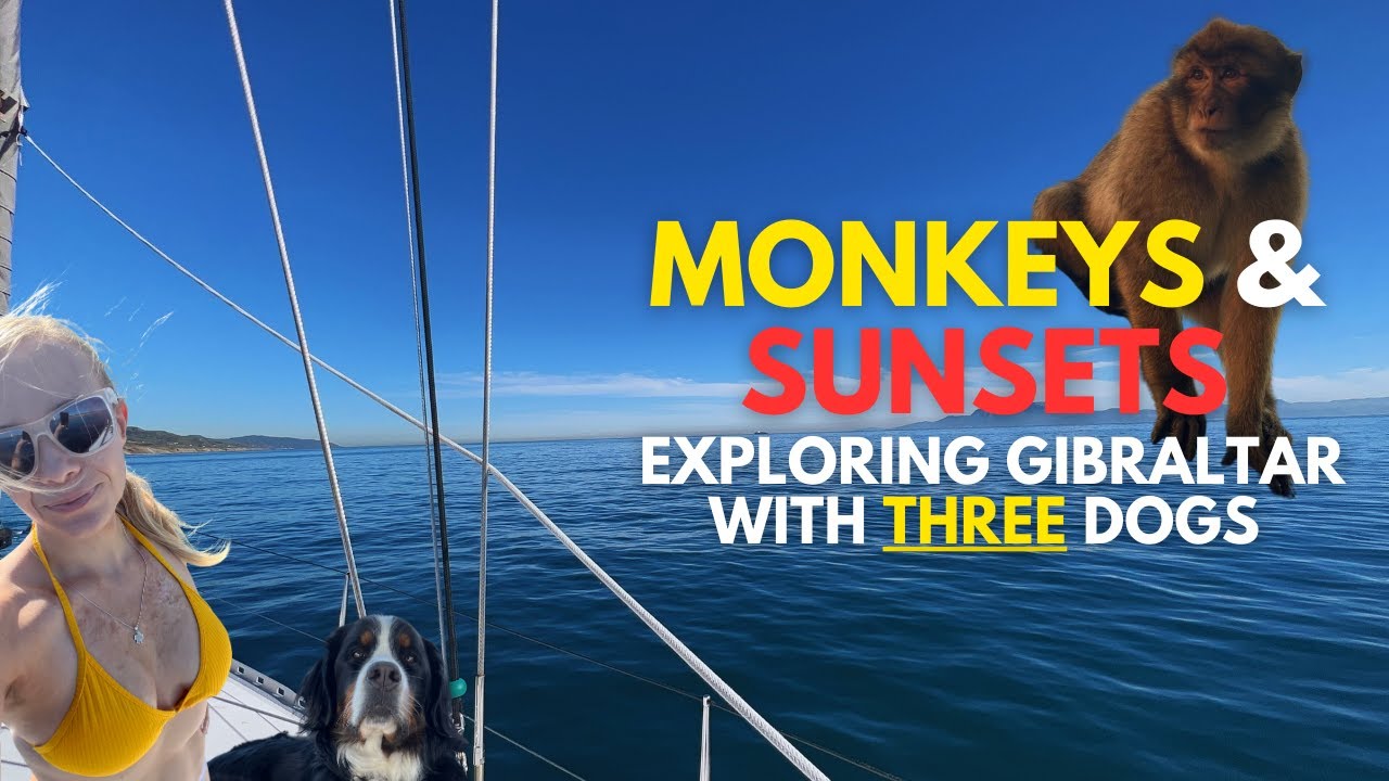 Mostly just sunshine and monkeys | Ep 46