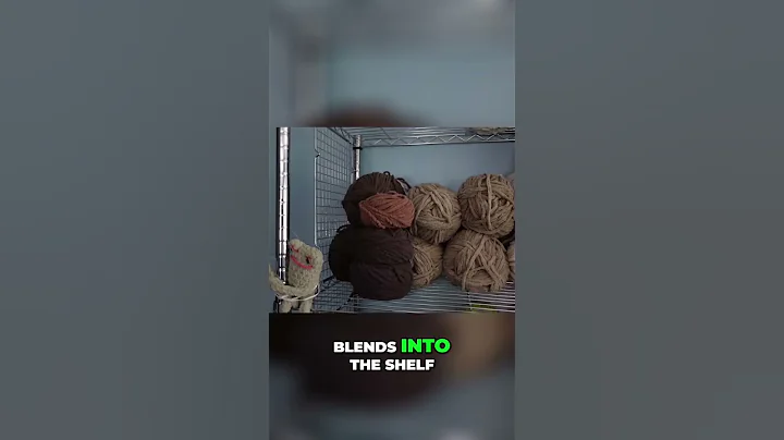 Simplify Your Shelving  The Ultimate Zip Tie Hack