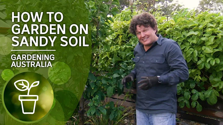 How to garden on sandy soil