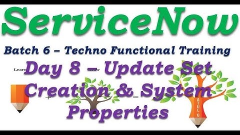 Batch 6 || Day 8 Update Set Creation & System Properties Overview  ||Techno Functional Training