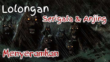 Mengerikan‼️ Suara Longlongan Serigala disertai Gonggongan Anjing Paling Menyeramkan