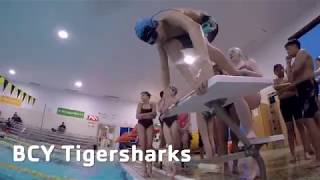Brandywine YMCA Coatesville Tigershark Swim Team