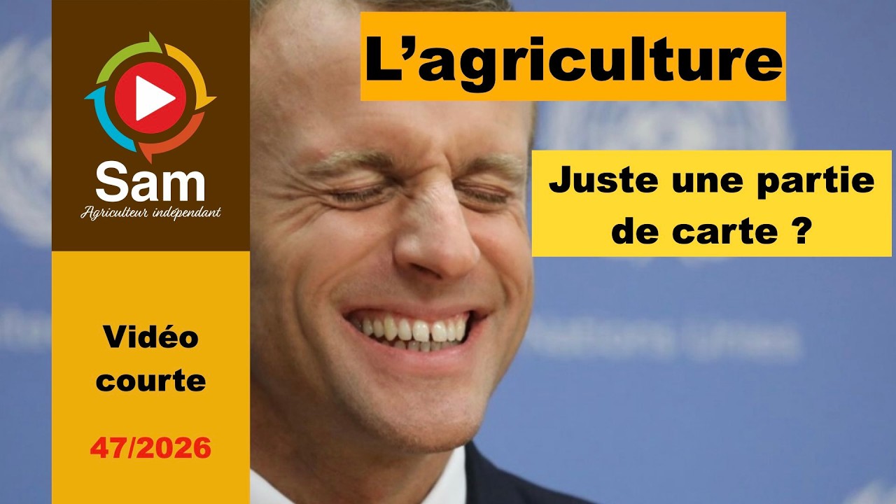 Les agriculteurs au milieu d'une partie de cartes.Reprise acoustique Johnny Hallyday Partie de carte