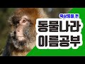 [동물나라] 육상동물｜동물이름｜어린이동물공부｜동물공부｜영어이름