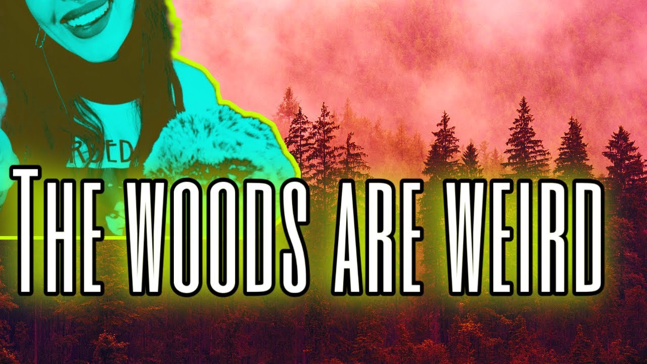 ASMR SCARY STORIES The Woods Are Weird