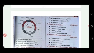 Biotechnology|Principles & Processes|Important MCQs for Master Cadre Exam Preparation|