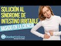SOLUCIÓN AL SÍNDROME DE INTESTINO IRRITABLE | BASADA EN LA CIENCIA | DOCTORWELLNESS