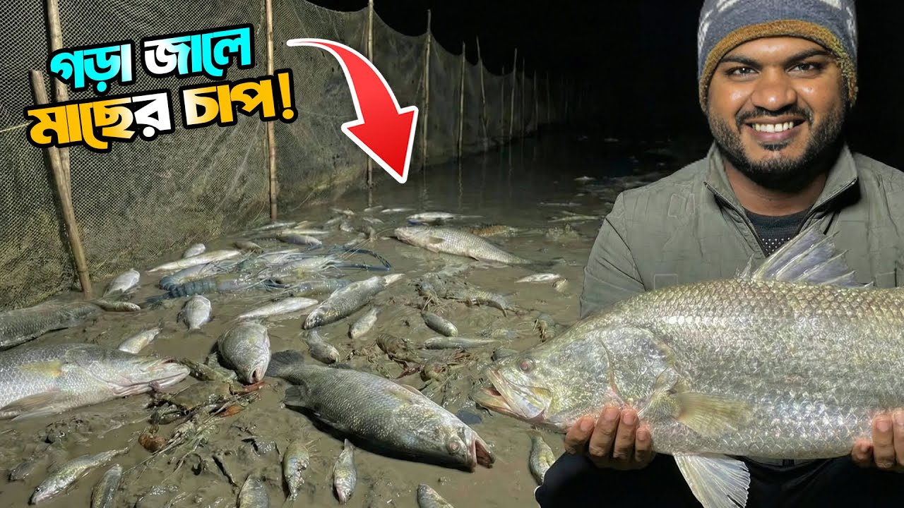 দখিনা বাতাস মানেই কোরাল উৎসব! চরপাটা জালে কোরাল মাছের ঝড় | Adventure BD