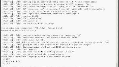 Official sqlmap video demonstration 11