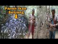 BERBURU IKAN SELUANG MENGGUNAKAN PUKAT, DI SUNGAI KALIMANTAN BAGIAN PALING HULU..