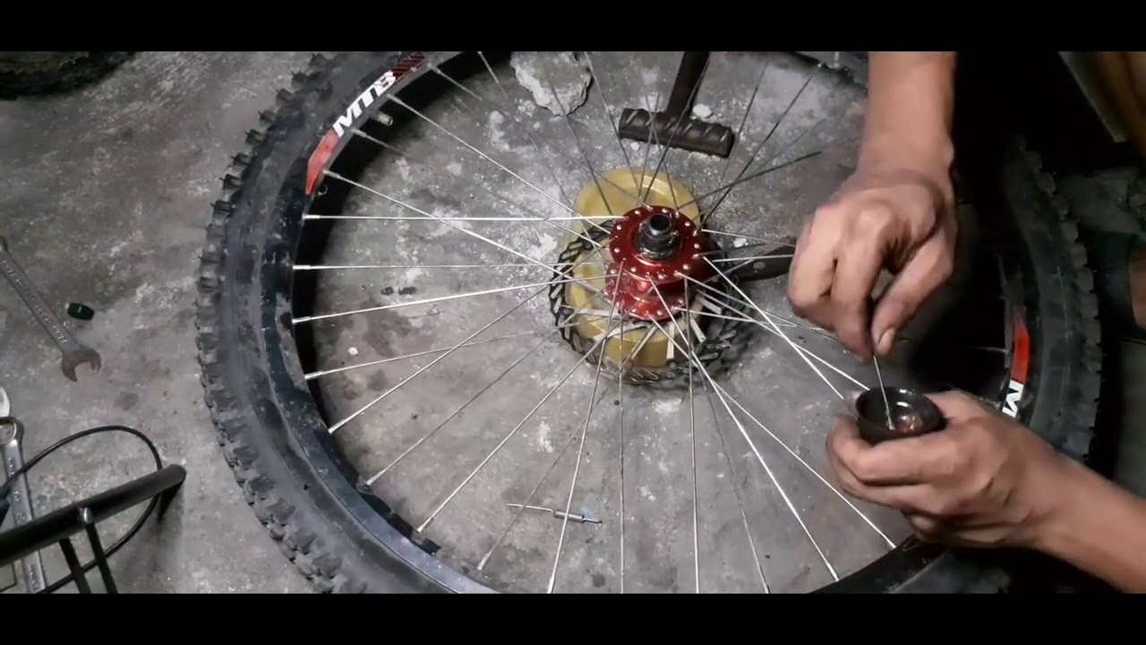 how to maintenance and edit a ragusa R100? sealed bearing HUBS 