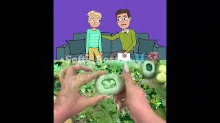 İşte Benim Hikayem Slime