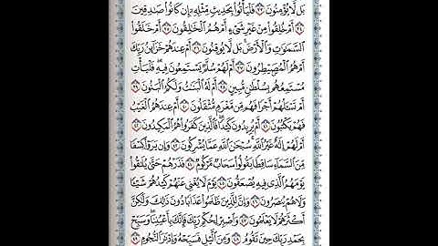 سورة الطور 32-40 ( للشيخ ياسر الدوسري)
