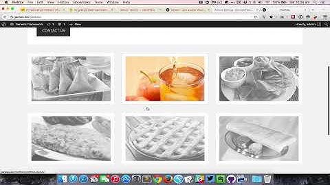Simple Portfolio Grid in Genesis