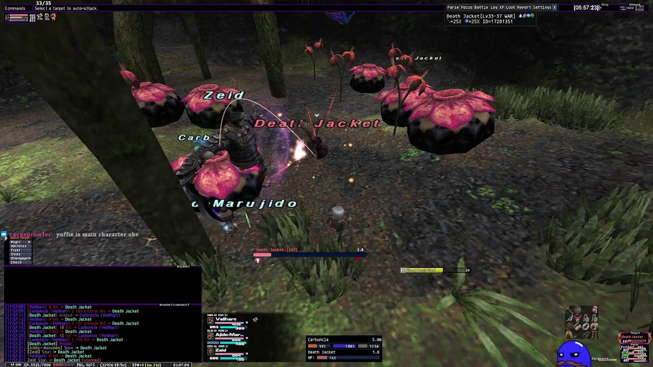 Final Fantasy XI - CatseyeXI Crystal Warrior