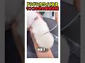 ドンドンカワイくなるワンコの足の美容過程　#いぬ #犬 #ワンコ #犬動画 #犬のいる暮らし #カワイイ #かわいい #shorts #面白い #面白動画