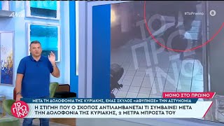 «Ο σκύλος είναι ο μόνος που τρέχει!» Βίντεο ντοκουμέντο από την δολοφονία της 28χρονης Κυριακής