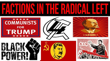 Factions in the Radical Left and Dissident Online Politics