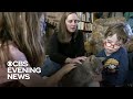 Cat reunited with owners 16 years after running away