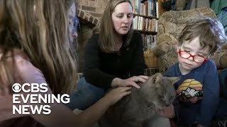 Cat Reunited With Owners 16 Years After Running Away