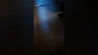 Capucine Anav Nue Sous La Douche