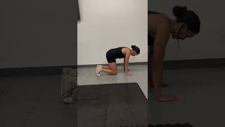 Bear Hover with Alternating Knee Taps - Deep Core Workout *EASY BEGINNER FRIENDLY EXERCISE*