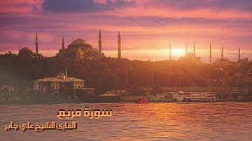 سورة مريم بصوت القارئ الشيخ علي جابر
