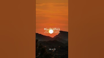 قران كريم ارح قلبك وسمعك #quran #قران #دويتو #رعد_الكردي #duet #رعد_الكردي