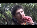 Bush hunting for wild meat NZ