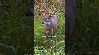 Habitat projects can change deer movement and you may need to adjust your hunting strategy!