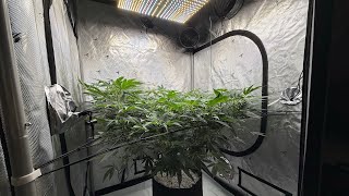 PH w/ Drain to Waste & Updates