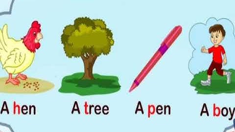 MLZS JHANSI CLASS 1 English Grammar Chapter  8 Articles Lecture 1