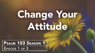 Do You Need an Attitude Realignment?