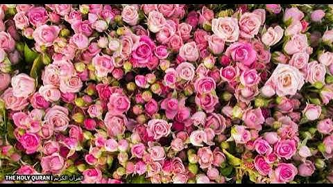 #سورة_التوبة  بصوت القارئ اسامة صبحي حسين #قرآن #تلاوة #القرآن_الكريم #القرآن #القران_الكريم #تلاوة